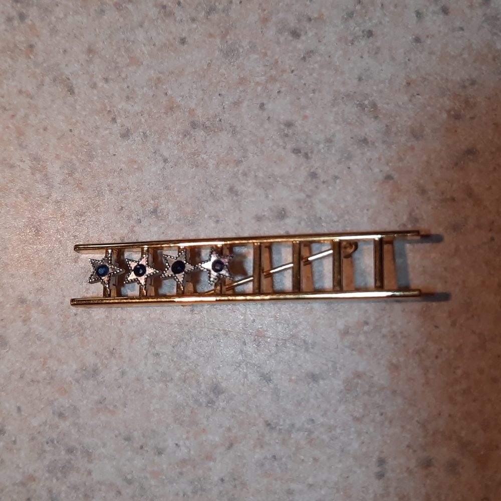 Mary Kay pin
